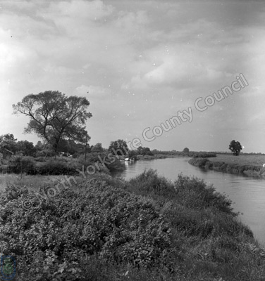River Ouse, Cawood